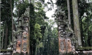 blog image